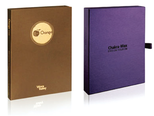 201306E_High-End Database