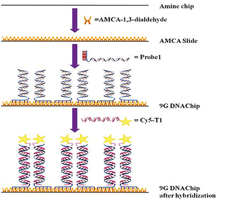 201308E_Biometrix Technology In