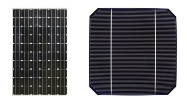 Solar Cell and Module