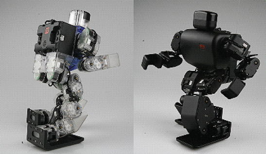 Humanoid Joint Robots