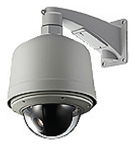 IP Cameras