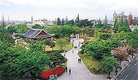 Gyeongsang-gamyeong-and-old-alleys