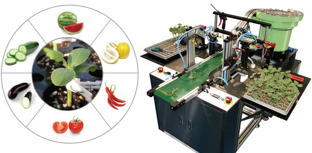 Fruit-and-vegetable-grafting-robot