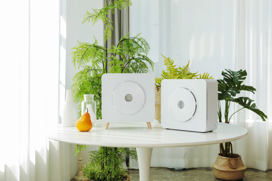 Air Purifier “Mam”