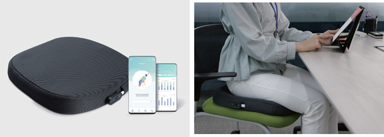 Smart IoT Cushion (BackKeeper)