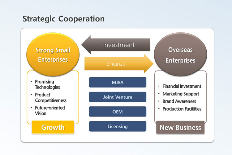 Promoting Strategic Cooperation Between Strong Small Enterprises and Overseas Enterprises