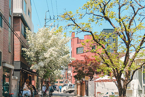 Five Ways to Enjoy Seoul Forest