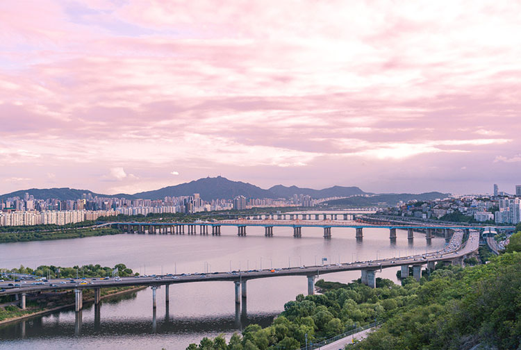 Five Ways to Enjoy Seoul Forest