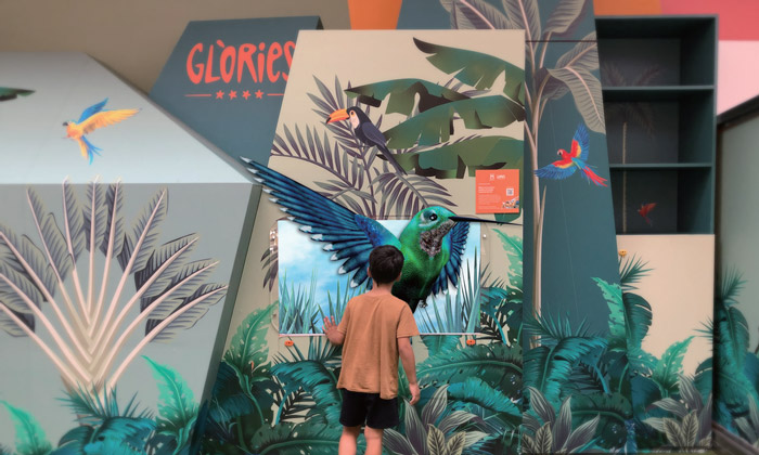 Light Field 3D Signage