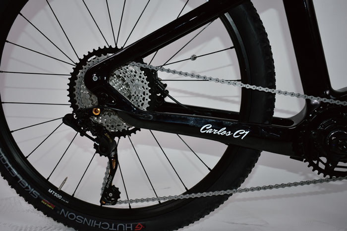 Electric Carbon XC Bicycle(Carlos C1)