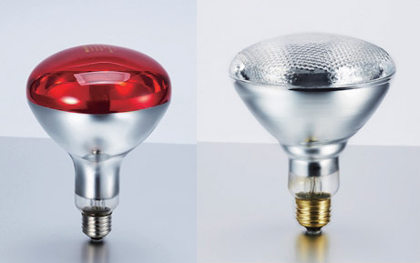 LED Bulb & Thermal Infrared Bulb