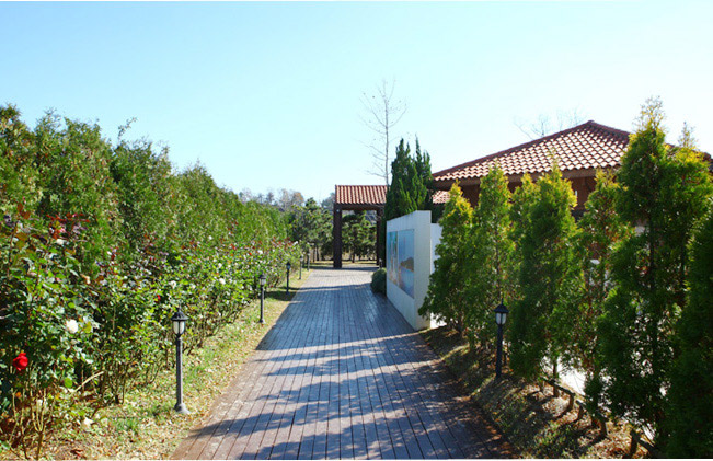 Suncheon Bay National Garden - World Garden
