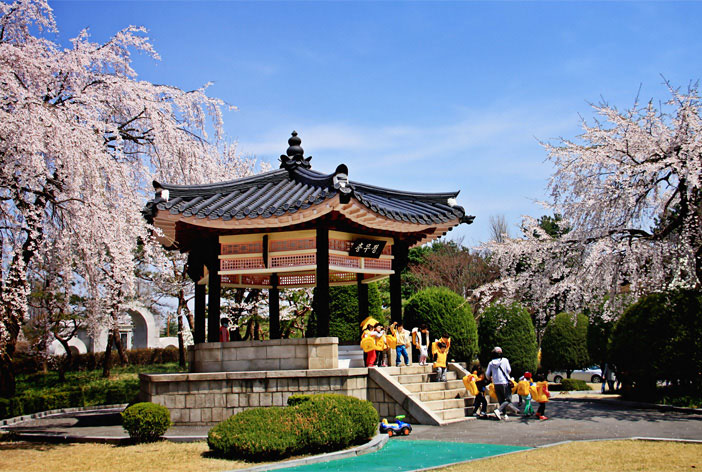 Peaceful flowers, Seoul National Cemetery